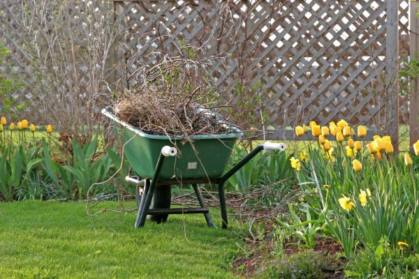 Flower Bed Cleanup Service in Los Gatos