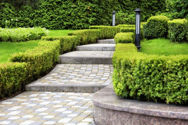 Backyard Remodeling in Los Gatos