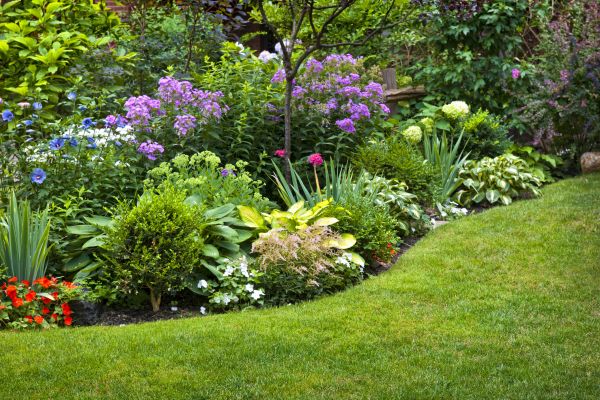 Flower Bed Service in Los Gatos