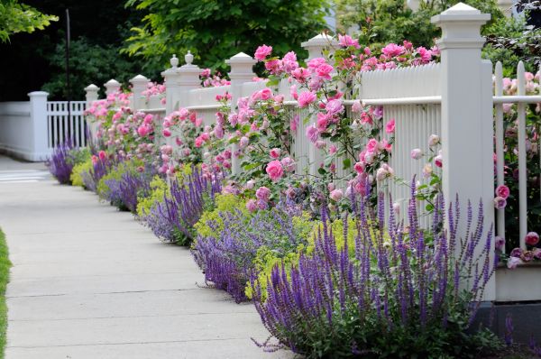 Garden Handyman Service in Los Gatos