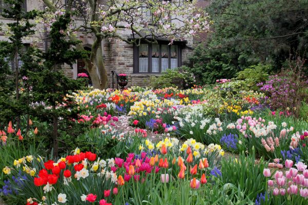 Garden Maintenance Service in Los Gatos