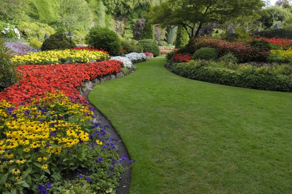 Landscaping Maintenance in Los Gatos