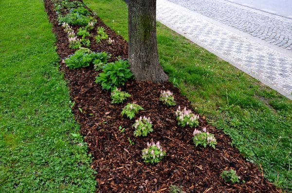 Mulch Replacement Service in Los Gatos