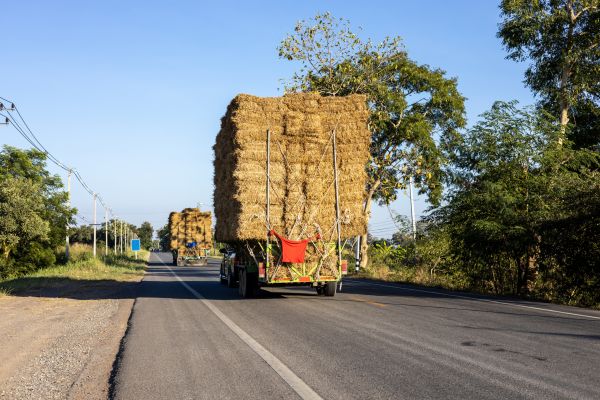 Pine Straw Delivery in Los Gatos