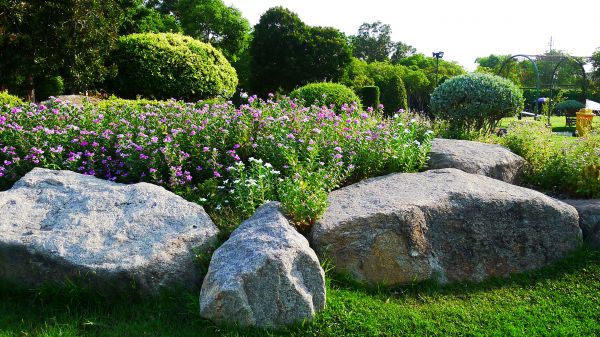 Boulder Landscaping in Los Gatos