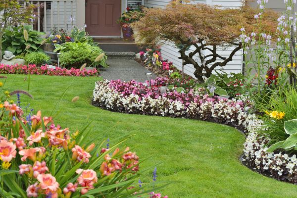 Perennial Landscaping in Los Gatos