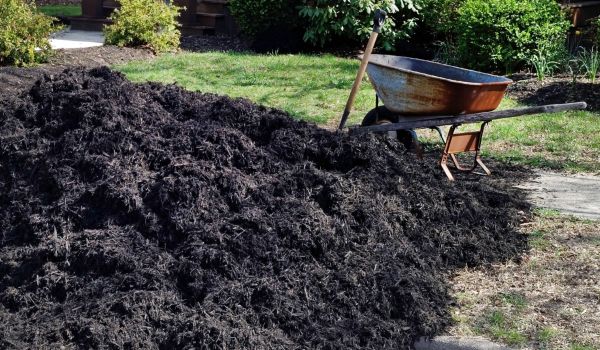 Black Mulch Installation in Los Gatos