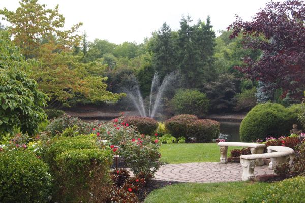 Courtyard Design Service in Los Gatos