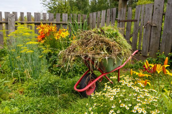 Garden Cleanup Service in Los Gatos