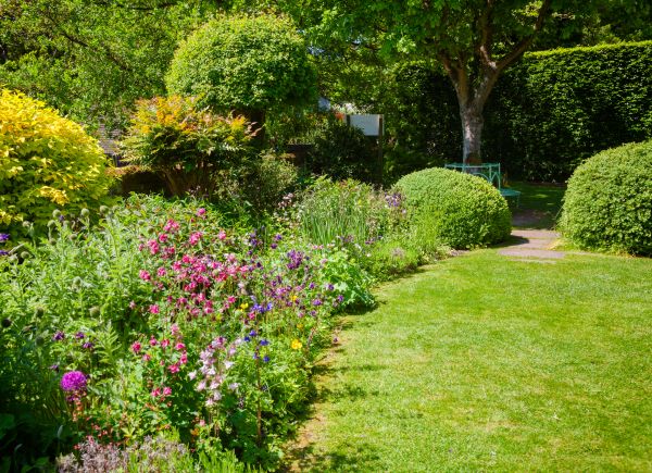 Yard Landscaping Service in Los Gatos