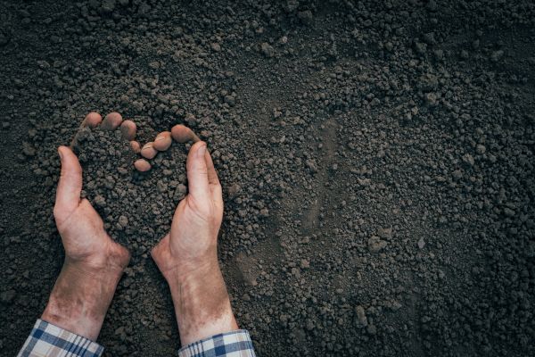 Soil Installation in Los Gatos