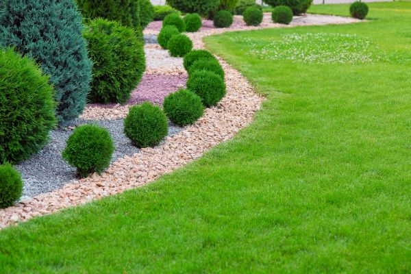 Edging Stones Installation in Los Gatos
