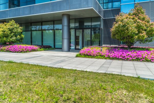Commercial Gardening in Los Gatos
