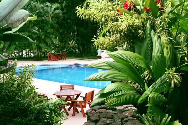 Tropical Garden Landscaping in Los Gatos