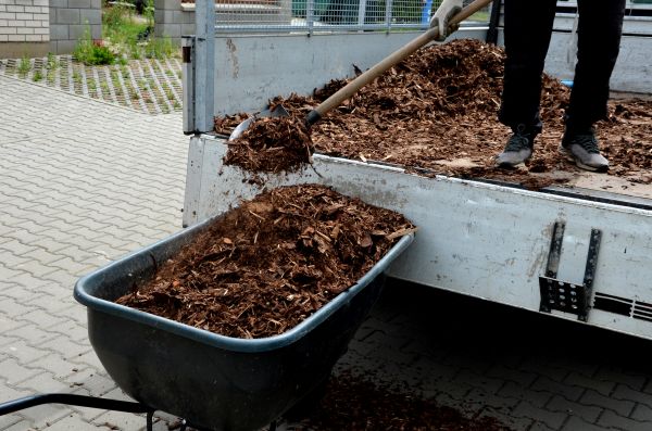Cypress Mulch Delivery in Los Gatos