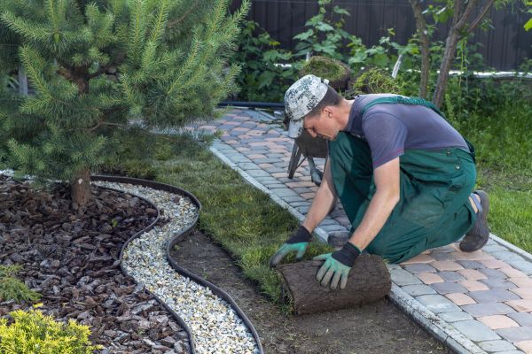 Landscaping Modification in Los Gatos