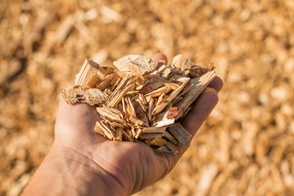 Wood Chips Spreading in Los Gatos