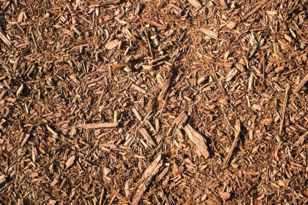 Wood Chips Removal in Los Gatos