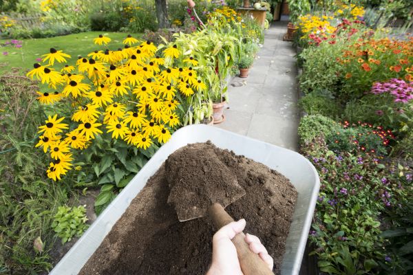 Topsoil Replacement in Los Gatos