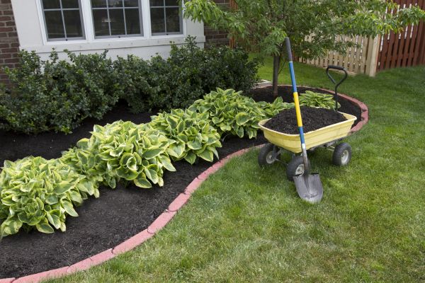 Landscape Mulching in Los Gatos