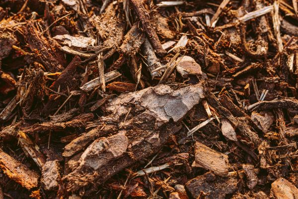Bark Mulch Delivery in Los Gatos