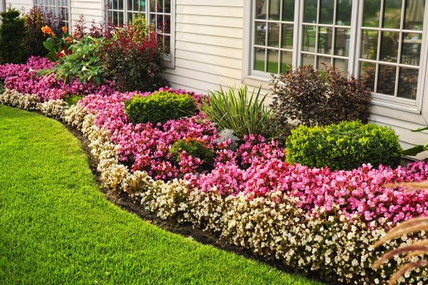 House Landscaping in Los Gatos