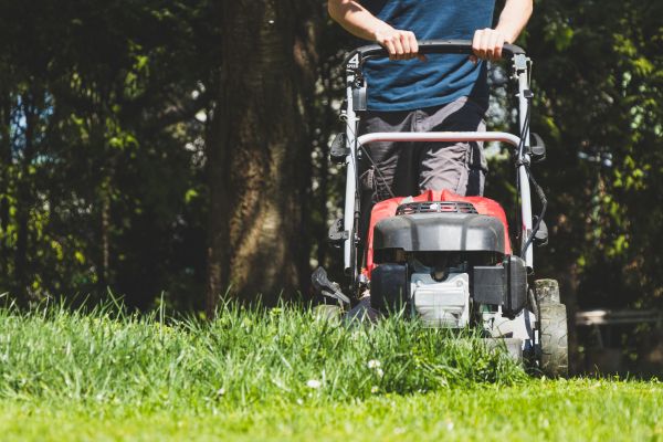 Garden Trimming Service in Los Gatos