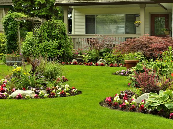 Flower Garden Planting in Los Gatos