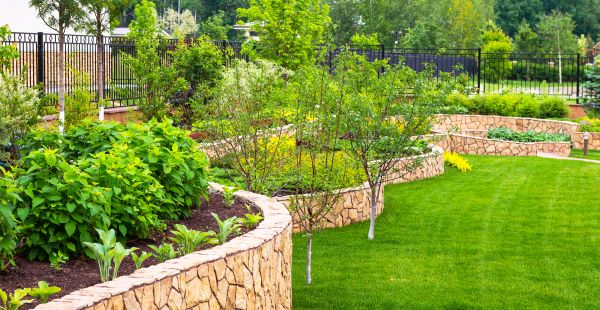 Yard Makeover Service in Los Gatos