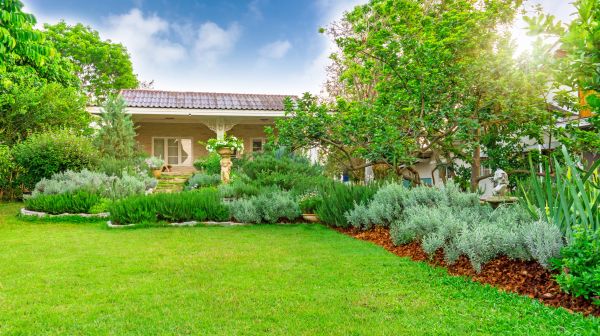 Greenery Planting in Los Gatos