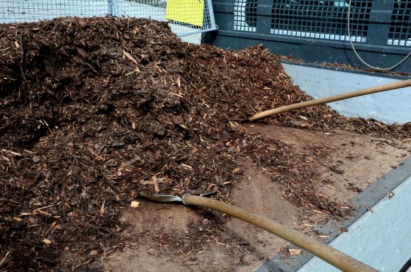 Cedar Bark Delivery in Los Gatos