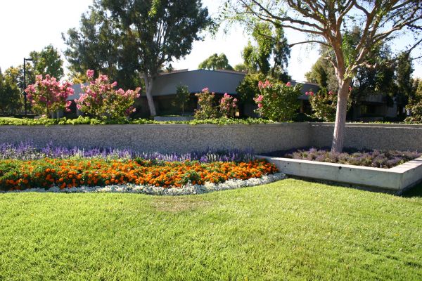 Commercial Landscape Service in Los Gatos