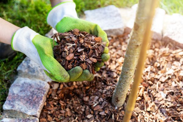 Tree Bark Delivery in Los Gatos