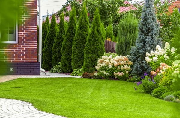 Spring Landscaping in Los Gatos