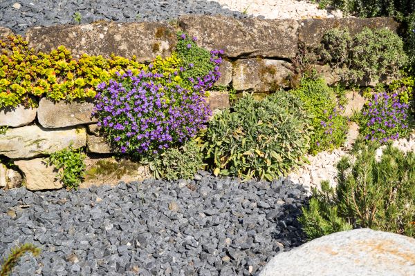Landscaping Rocks Installation in Los Gatos