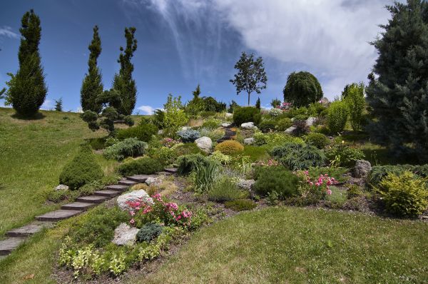 Steep Terrain Landscaping in Los Gatos