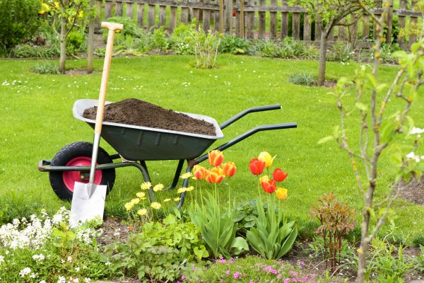 Spring Yard Renovation in Los Gatos