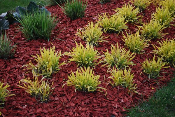 Red Mulch Installation in Los Gatos