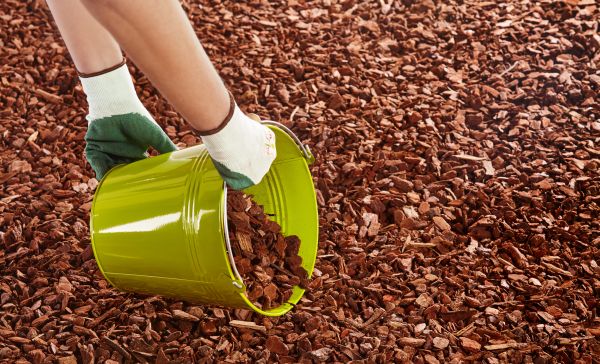 Wood Chip Landscaping in Los Gatos