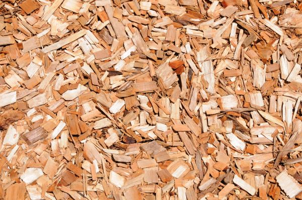 Cypress Mulch Spreading in Los Gatos