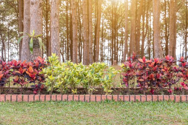 Small Garden Landscaping in Los Gatos