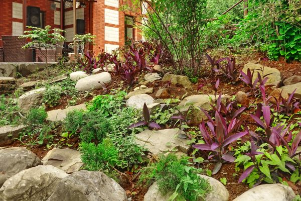 Rock Garden Landscaping in Los Gatos