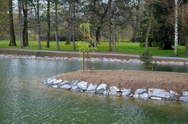 Pond Landscaping Service in Los Gatos