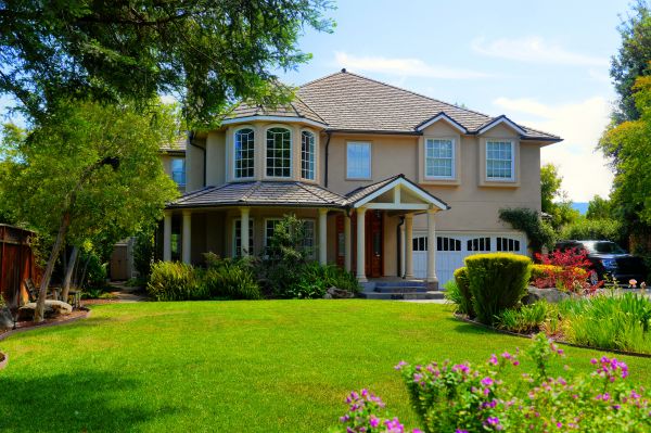 Large Yard Landscaping in Los Gatos