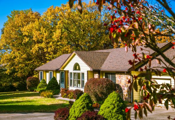 Ranch Landscaping in Los Gatos