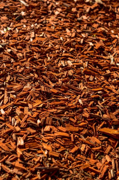 Cedar Mulch Spreading in Los Gatos