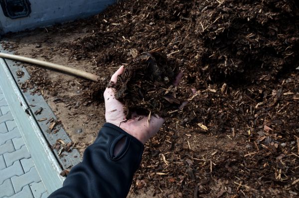Condo Mulching in Los Gatos