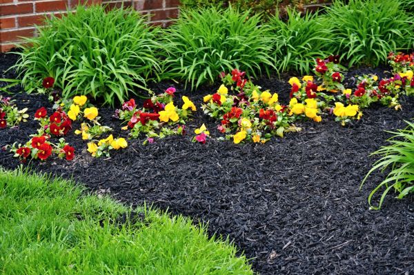 Apartment Mulching in Los Gatos
