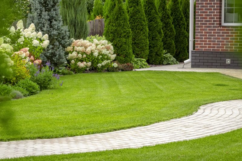 Experienced Landscape Designers